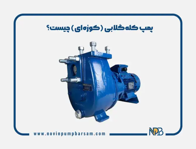 پمپ کله‌گلابی (کوزه‌ای) چیست؟ مشخصات، کاربردها و تفاوت با سایر پمپ‌ها